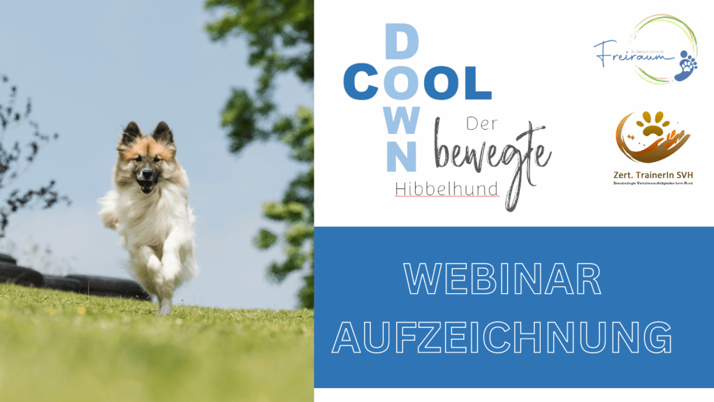 Angsthund Hibbelhund