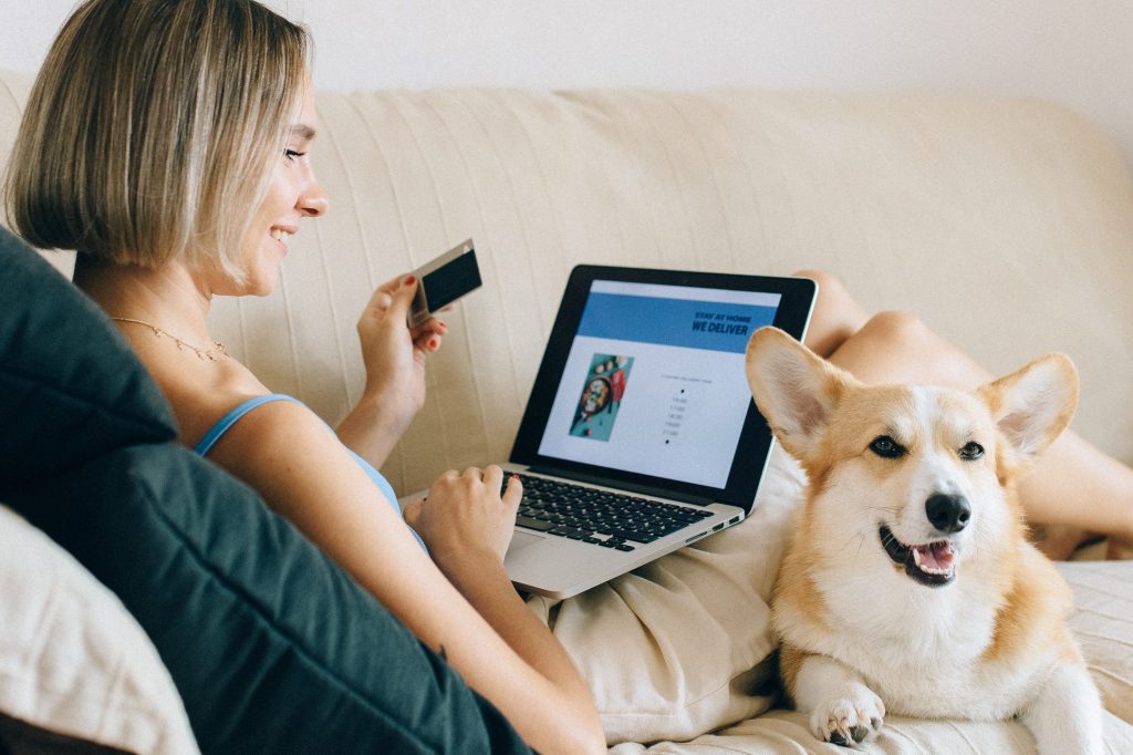 Online Hundetraining