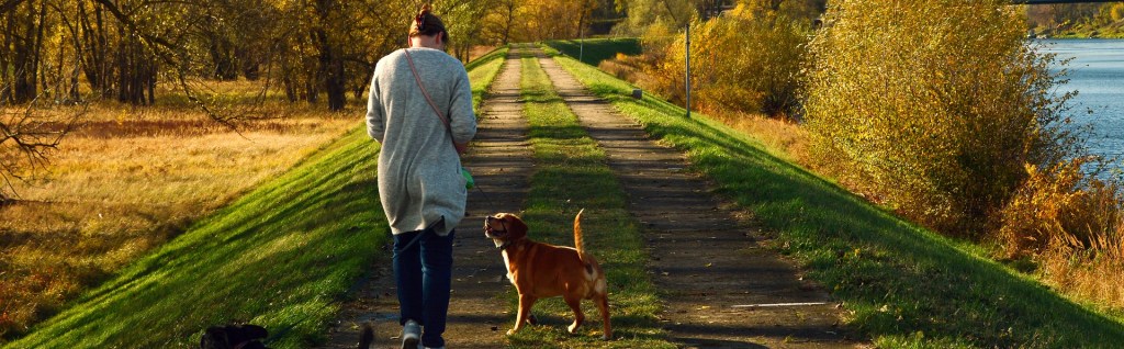 Spaziergang mit freilaufendem Hund Freiraum für Mensch und Hund