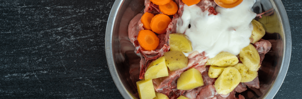 gesunde Ernährung für Hunde